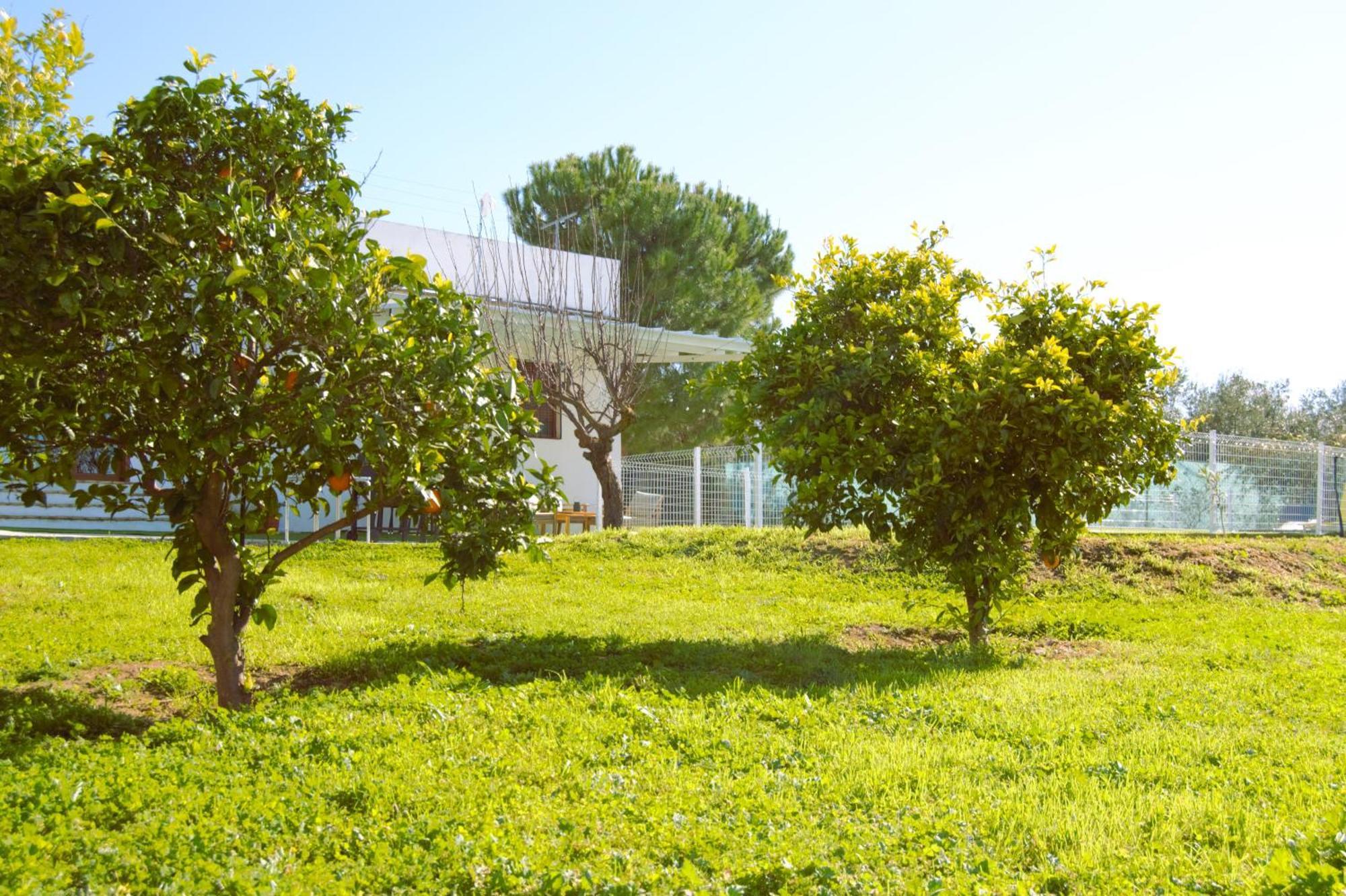 몬틸라 La Casa Del Carreron 빌라 외부 사진